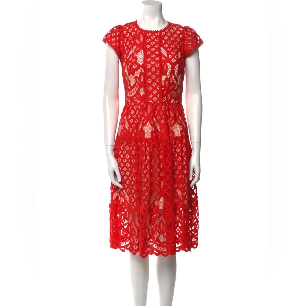 Parker Talulah Dress A Line Lace Dress in Flare